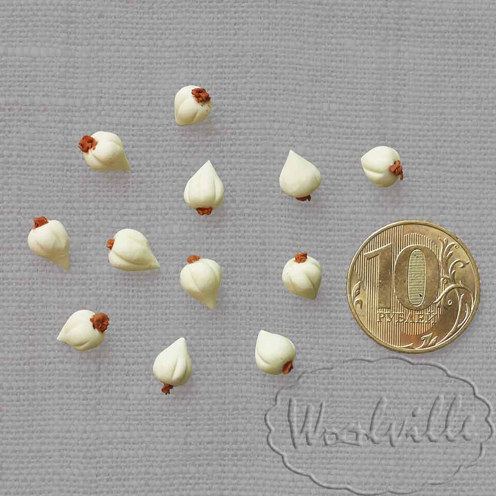 Кукольная миниатюра чеснок 9 мм